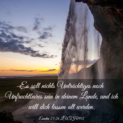 Picture 03 - Exodus 23:26 LUTH1912 - Es soll nichts Unträchtiges noch Unfruchtbares - Bible Verse Picture