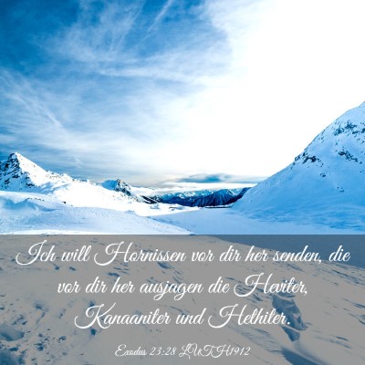 Picture 03 - Exodus 23:28 LUTH1912 - Ich will Hornissen vor dir her senden, die vor - Bible Verse Picture