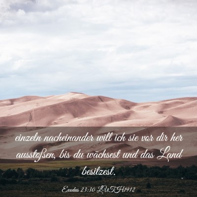 Picture 03 - Exodus 23:30 LUTH1912 - einzeln nacheinander will ich sie vor dir her - Bible Verse Picture