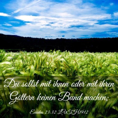 Picture 03 - Exodus 23:32 LUTH1912 - Du sollst mit ihnen oder mit ihren Göttern - Bible Verse Picture