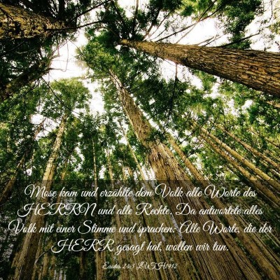 Picture 03 - Exodus 24:3 LUTH1912 - Mose kam und erzählte dem Volk alle Worte des - Bible Verse Picture