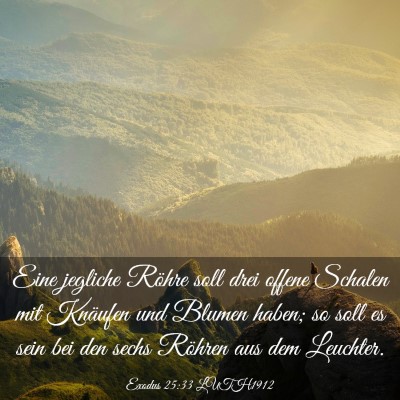 Picture 03 - Exodus 25:33 LUTH1912 - Eine jegliche Röhre soll drei offene Schalen mit - Bible Verse Picture