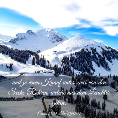Picture 03 - Exodus 25:35 LUTH1912 - und je einen Knauf unter zwei von den Sechs - Bible Verse Picture