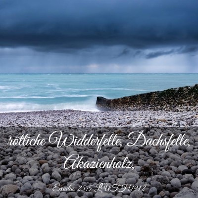 Picture 03 - Exodus 25:5 LUTH1912 - rötliche Widderfelle, Dachsfelle, - Bible Verse Picture