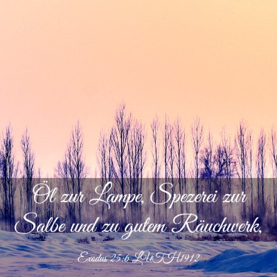 Picture 03 - Exodus 25:6 LUTH1912 - Öl zur Lampe, Spezerei zur Salbe und zu gutem - Bible Verse Picture
