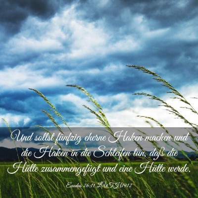 Picture 03 - Exodus 26:11 LUTH1912 - Und sollst fünfzig eherne Haken machen und die - Bible Verse Picture