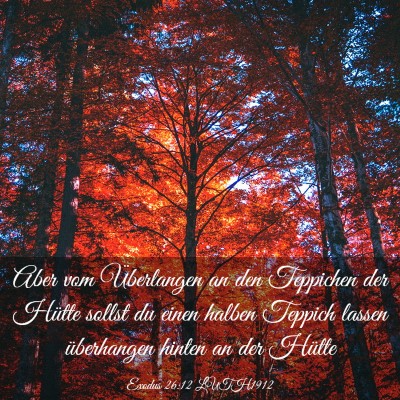 Picture 03 - Exodus 26:12 LUTH1912 - Aber vom Überlangen an den Teppichen der Hütte - Bible Verse Picture