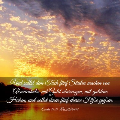 Picture 03 - Exodus 26:37 LUTH1912 - Und sollst dem Tuch fünf Säulen machen von - Bible Verse Picture