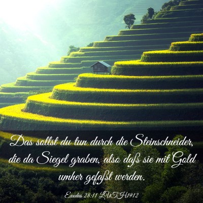 Picture 03 - Exodus 28:11 LUTH1912 - Das sollst du tun durch die Steinschneider, die - Bible Verse Picture