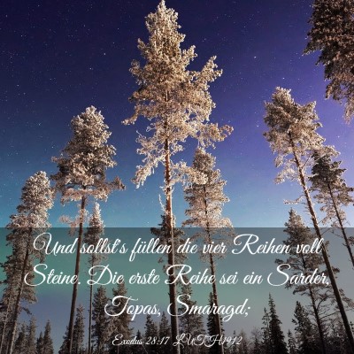 Picture 03 - Exodus 28:17 LUTH1912 - Und sollst's füllen die vier Reihen voll Steine. - Bible Verse Picture