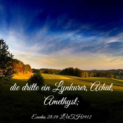 Picture 03 - Exodus 28:19 LUTH1912 - die dritte ein Lynkurer, Achat, - Bible Verse Picture