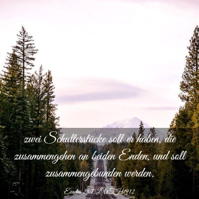 Picture 03 - Exodus 28:7 LUTH1912 - zwei Schulterstücke soll er haben, die - Bible Verse Picture