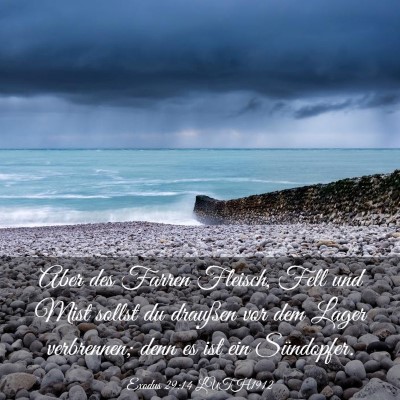 Picture 03 - Exodus 29:14 LUTH1912 - Aber des Farren Fleisch, Fell und Mist sollst du - Bible Verse Picture