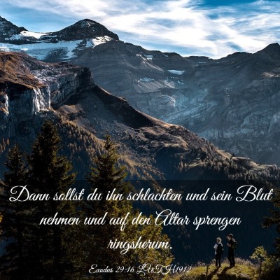 Picture 03 - Exodus 29:16 LUTH1912 - Dann sollst du ihn schlachten und sein Blut - Bible Verse Picture