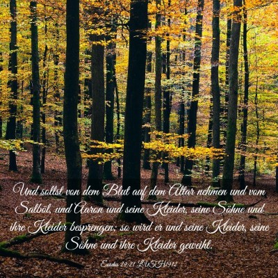 Picture 03 - Exodus 29:21 LUTH1912 - Und sollst von dem Blut auf dem Altar nehmen und - Bible Verse Picture