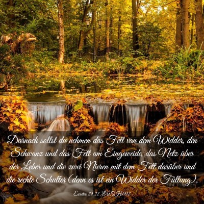 Picture 03 - Exodus 29:22 LUTH1912 - Darnach sollst du nehmen das Fett von dem Widder, - Bible Verse Picture