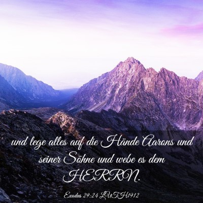 Picture 03 - Exodus 29:24 LUTH1912 - und lege alles auf die Hände Aarons und seiner - Bible Verse Picture