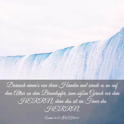 Picture 03 - Exodus 29:25 LUTH1912 - Darnach nimm's von ihren Händen und zünde es an - Bible Verse Picture