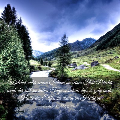 Picture 03 - Exodus 29:30 LUTH1912 - Welcher unter seinen Söhnen an seiner Statt - Bible Verse Picture