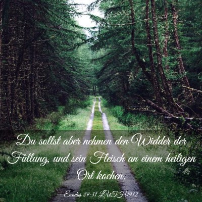 Picture 03 - Exodus 29:31 LUTH1912 - Du sollst aber nehmen den Widder der Füllung, - Bible Verse Picture