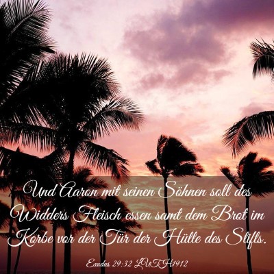 Picture 03 - Exodus 29:32 LUTH1912 - Und Aaron mit seinen Söhnen soll des Widders - Bible Verse Picture