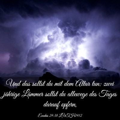 Picture 03 - Exodus 29:38 LUTH1912 - Und das sollst du mit dem Altar tun: zwei - Bible Verse Picture