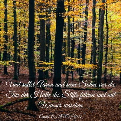 Picture 03 - Exodus 29:4 LUTH1912 - Und sollst Aaron und seine Söhne vor die Tür - Bible Verse Picture