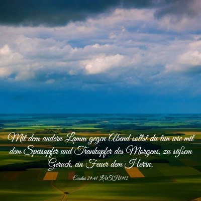 Picture 03 - Exodus 29:41 LUTH1912 - Mit dem andern Lamm gegen Abend sollst du tun wie - Bible Verse Picture