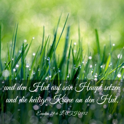 Picture 03 - Exodus 29:6 LUTH1912 - und den Hut auf sein Haupt setzen und die heilige - Bible Verse Picture