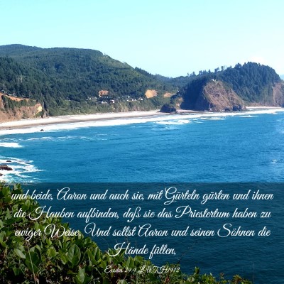 Picture 03 - Exodus 29:9 LUTH1912 - und beide, Aaron und auch sie, mit Gürteln - Bible Verse Picture