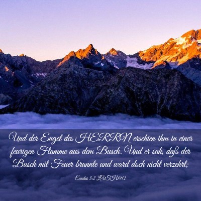 Picture 03 - Exodus 3:2 LUTH1912 - Und der Engel des HERRN erschien ihm in einer - Bible Verse Picture