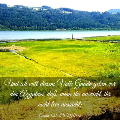 Picture 03 - Exodus 3:21 LUTH1912 - Und ich will diesem Volk Gnade geben vor den - Bible Verse Picture