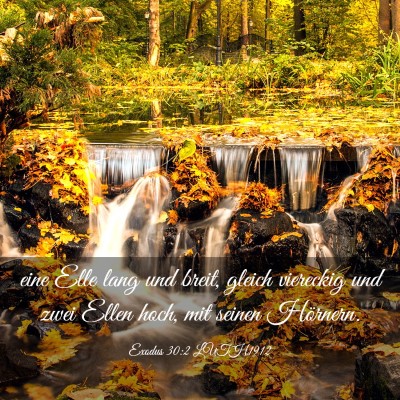 Picture 03 - Exodus 30:2 LUTH1912 - eine Elle lang und breit, gleich viereckig und - Bible Verse Picture