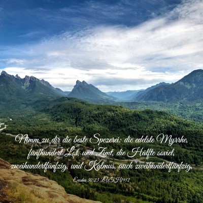 Picture 03 - Exodus 30:23 LUTH1912 - Nimm zu dir die beste Spezerei: die edelste - Bible Verse Picture