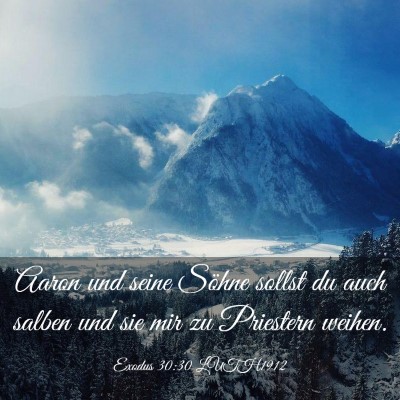 Picture 03 - Exodus 30:30 LUTH1912 - Aaron und seine Söhne sollst du auch salben und - Bible Verse Picture