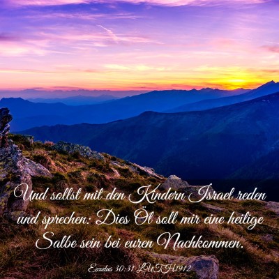 Picture 03 - Exodus 30:31 LUTH1912 - Und sollst mit den Kindern Israel reden und - Bible Verse Picture