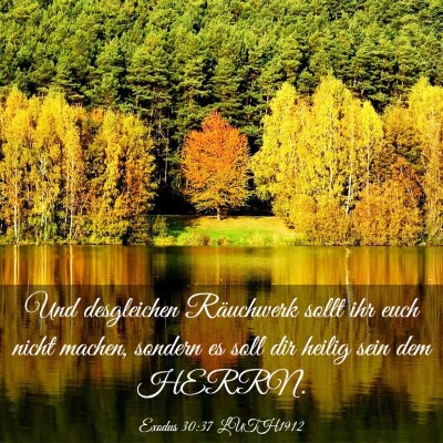 Picture 03 - Exodus 30:37 LUTH1912 - Und desgleichen Räuchwerk sollt ihr euch nicht - Bible Verse Picture