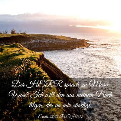 Picture 03 - Exodus 32:33 LUTH1912 - Der HERR sprach zu Mose: Was? Ich will den aus - Bible Verse Picture