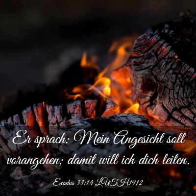 Picture 03 - Exodus 33:14 LUTH1912 - Er sprach: Mein Angesicht soll vorangehen; damit - Bible Verse Picture