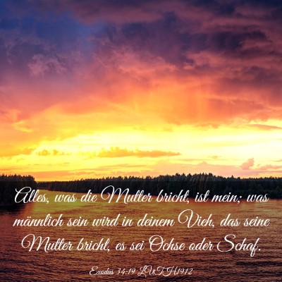 Picture 03 - Exodus 34:19 LUTH1912 - Alles, was die Mutter bricht, ist mein; was - Bible Verse Picture