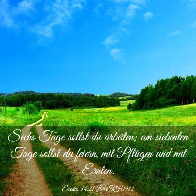 Picture 03 - Exodus 34:21 LUTH1912 - Sechs Tage sollst du arbeiten; am siebenten Tage - Bible Verse Picture
