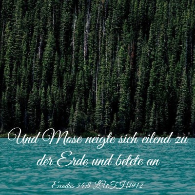 Picture 03 - Exodus 34:8 LUTH1912 - Und Mose neigte sich eilend zu der Erde und - Bible Verse Picture
