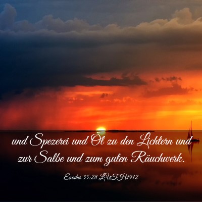 Picture 03 - Exodus 35:28 LUTH1912 - und Spezerei und Öl zu den Lichtern und zur - Bible Verse Picture