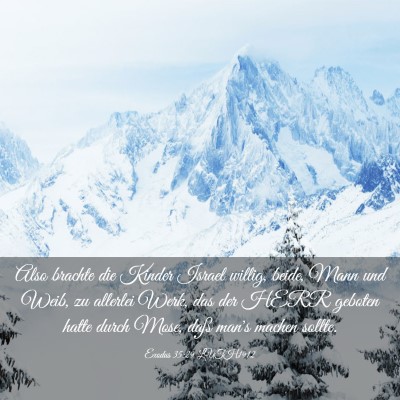 Picture 03 - Exodus 35:29 LUTH1912 - Also brachte die Kinder Israel willig, beide, - Bible Verse Picture