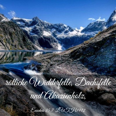 Picture 03 - Exodus 35:7 LUTH1912 - rötliche Widderfelle, Dachsfelle und - Bible Verse Picture