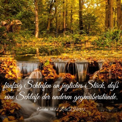 Picture 03 - Exodus 36:12 LUTH1912 - fünfzig Schleifen an jegliches Stück, daß eine - Bible Verse Picture