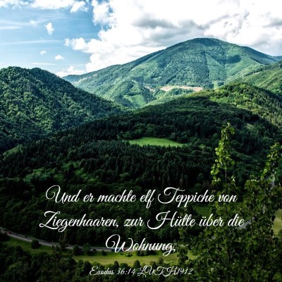 Picture 03 - Exodus 36:14 LUTH1912 - Und er machte elf Teppiche von Ziegenhaaren, zur - Bible Verse Picture