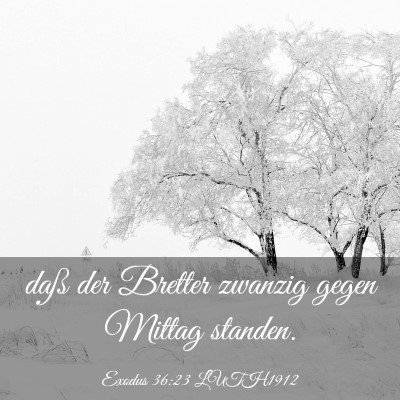 Picture 03 - Exodus 36:23 LUTH1912 - daß der Bretter zwanzig gegen Mittag - Bible Verse Picture