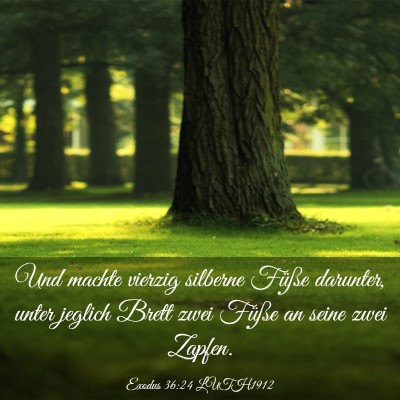 Picture 03 - Exodus 36:24 LUTH1912 - Und machte vierzig silberne Füße darunter, - Bible Verse Picture