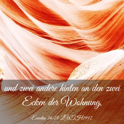 Picture 03 - Exodus 36:28 LUTH1912 - und zwei andere hinten an den zwei Ecken der - Bible Verse Picture